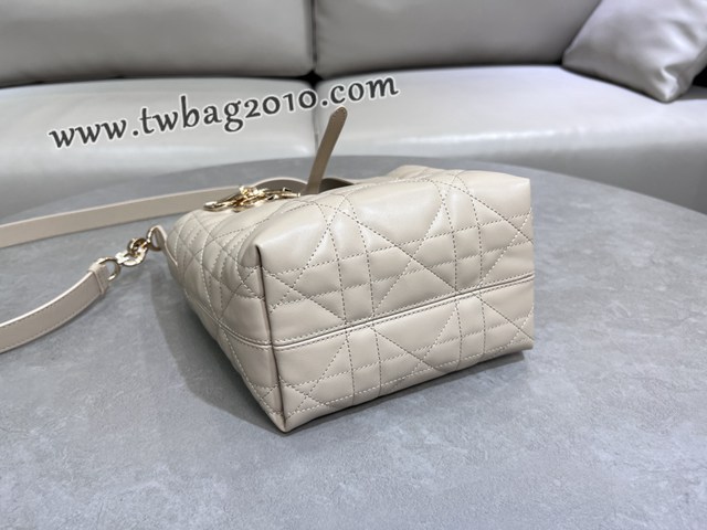 Dior专柜2025新款迪奥高仿原单Toujours竖版手袋牛皮休闲手提女包 djfk1298